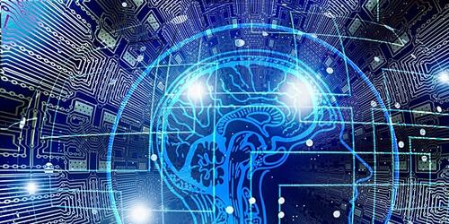 Data and the brain